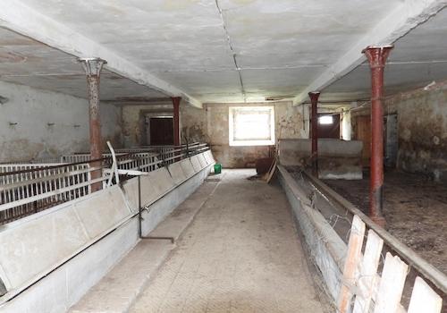 Stall im Stallflügel