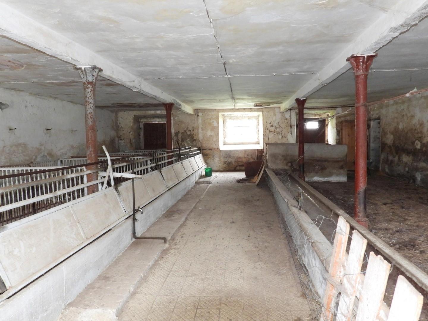 Stall im Stallflügel