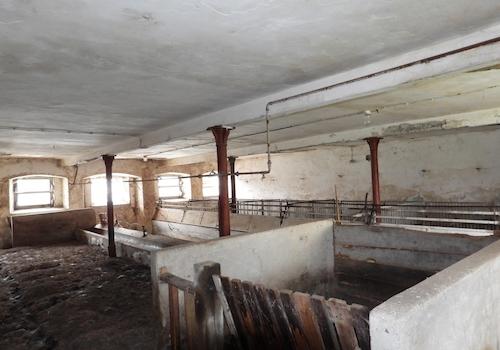 Stall im Stallflügel