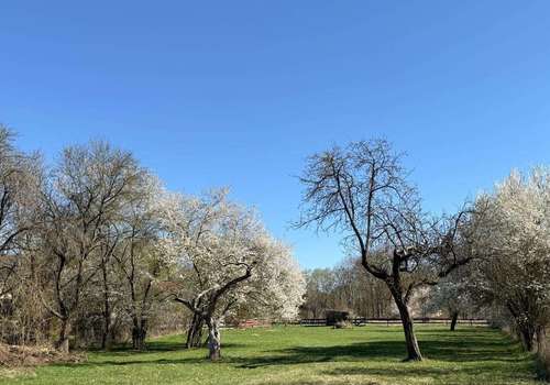 Blick hinter die Scheune