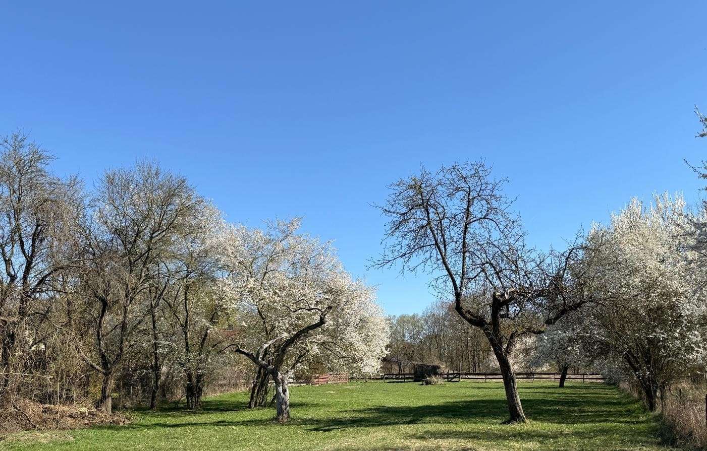 Blick hinter die Scheune