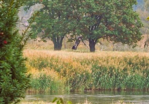 Oderblick aus dem OG