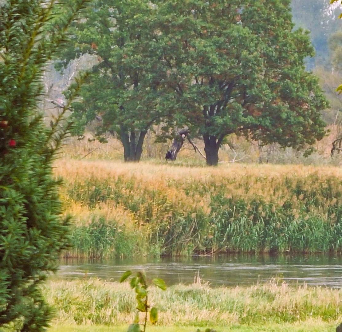 Oderblick aus dem OG