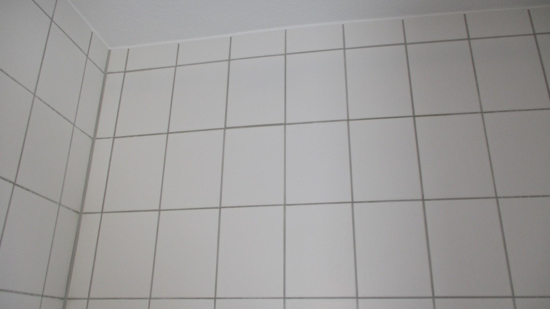 Tageslichtbad weiße Fliesen