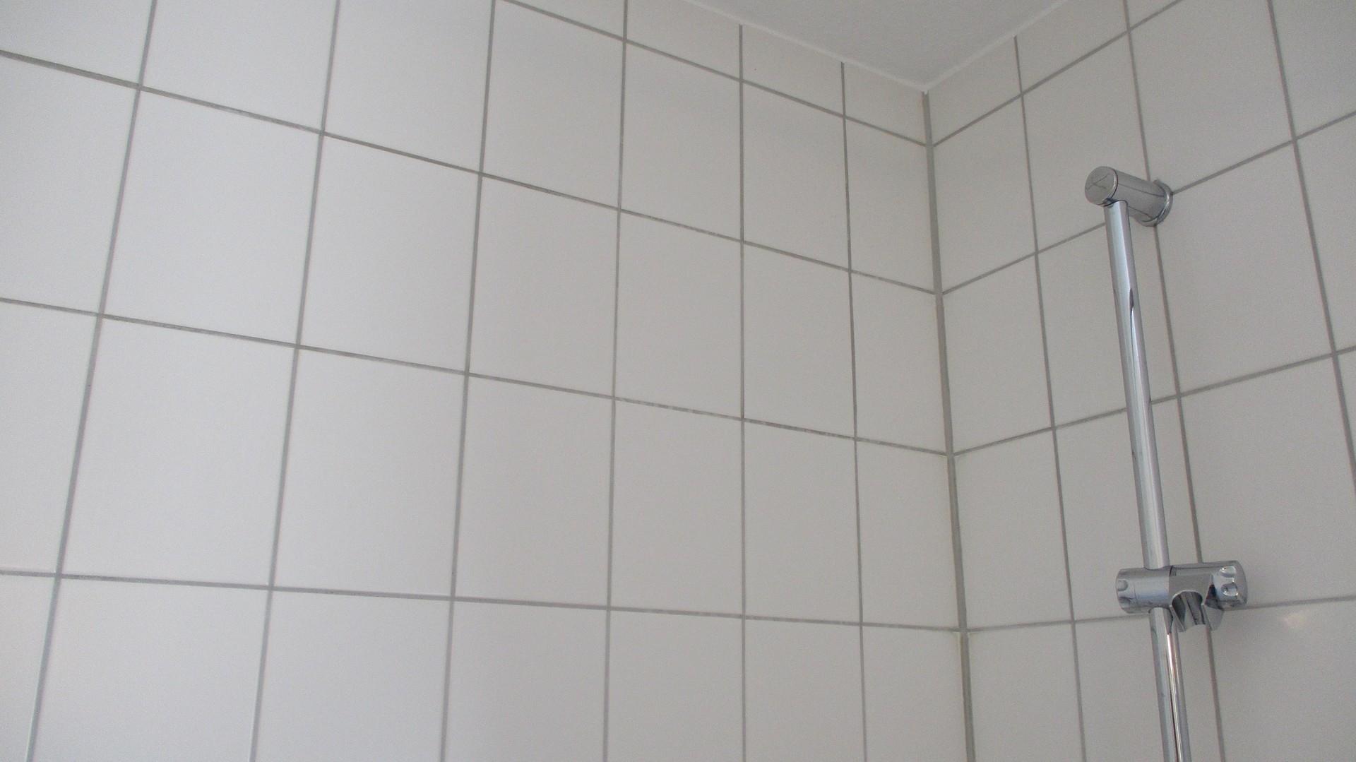 Tageslichtbad weiße Fliesen