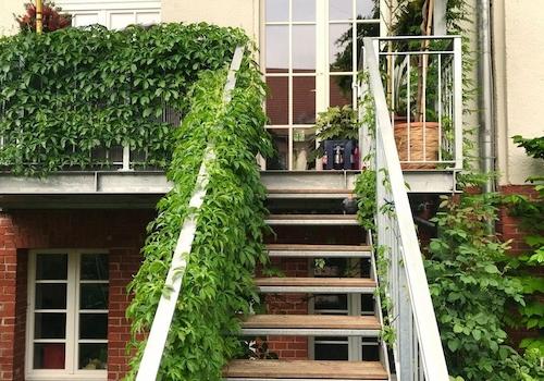 Aufgang Balkon 1 + Souterrain 