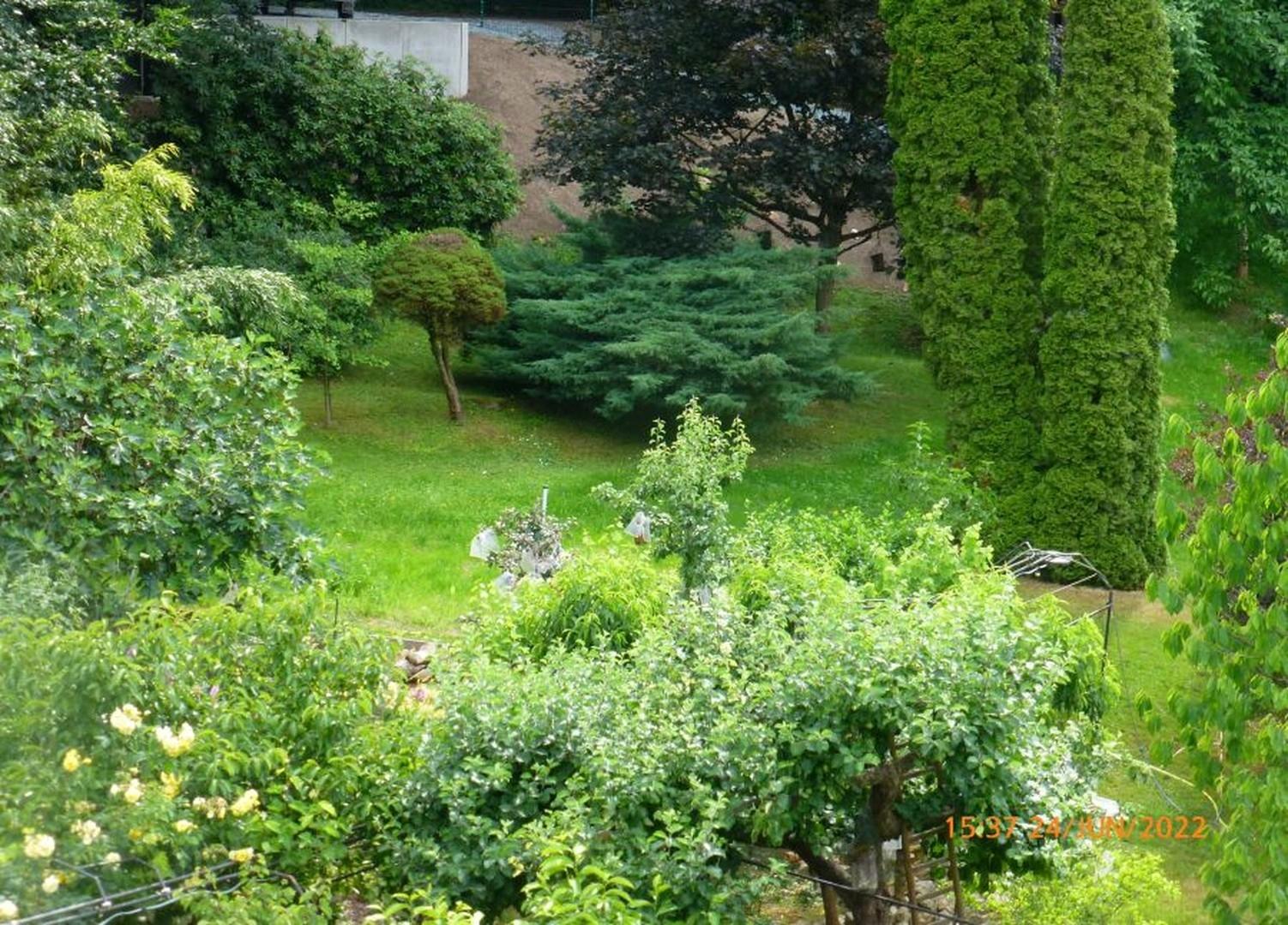 Der Garten direkt am Wald