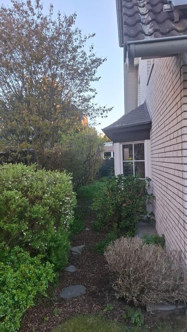 Gartenansichten am Morgen