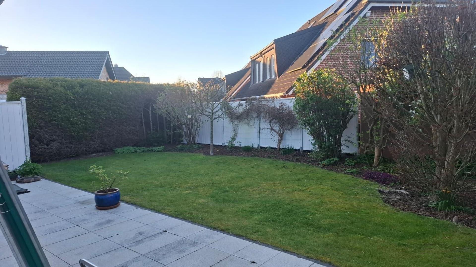 Gartenansichten am Morgen