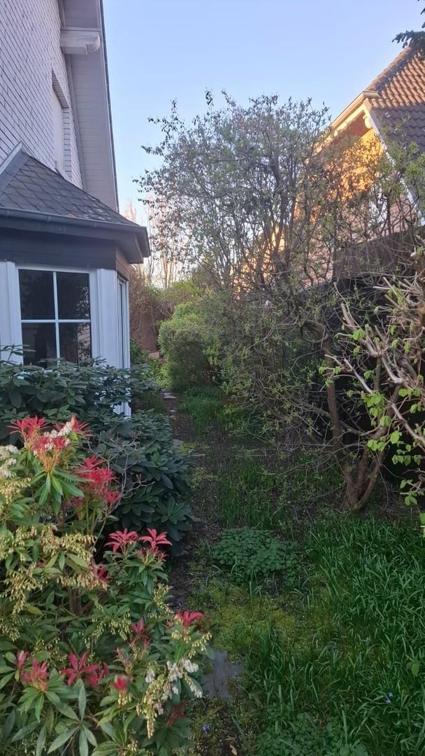 Gartenansichten am Morgen