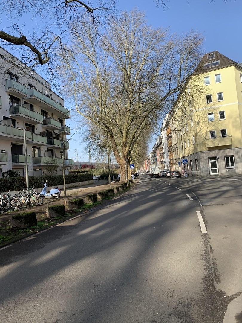 Pfälzerstrasse