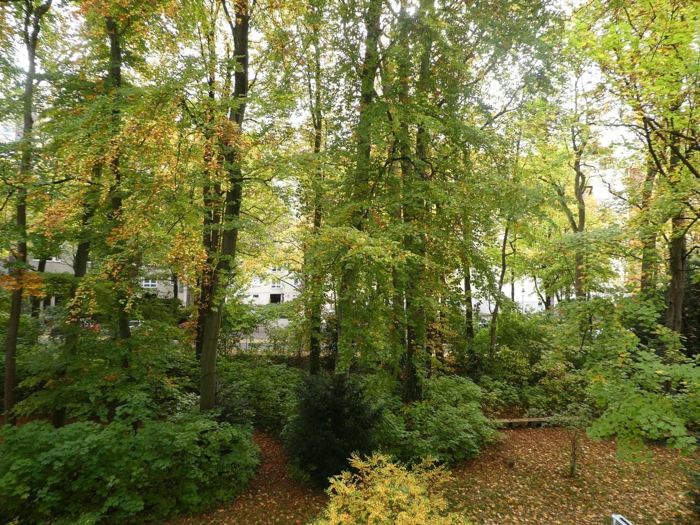 Ausblick von der Loggia