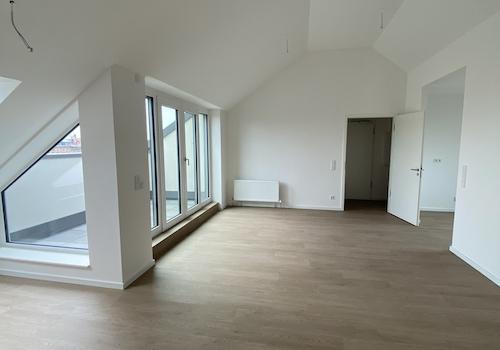 offener Wohn- Küchenbereich Ansicht 3