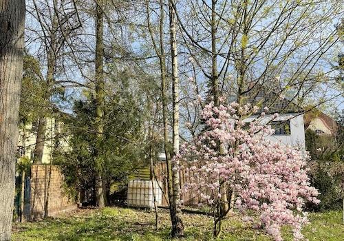 Grundstück Frühjahr