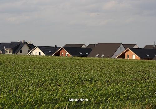 Keine Originalbilder