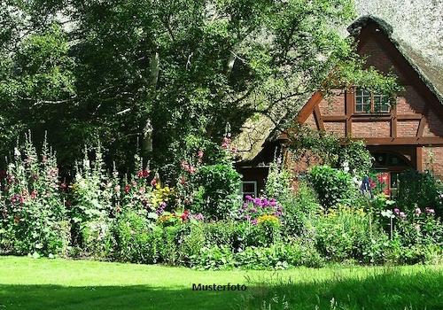 Keine Originalbilder