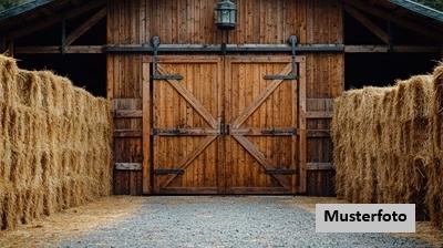 Keine Originalbilder