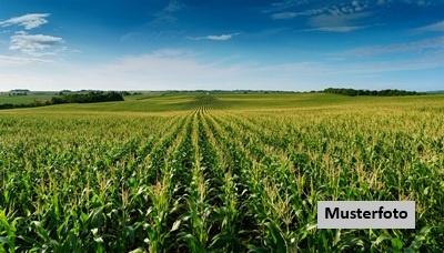 Keine Originalbilder