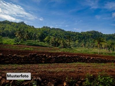 Keine Originalbilder