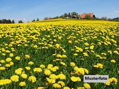 Keine Originalbilder