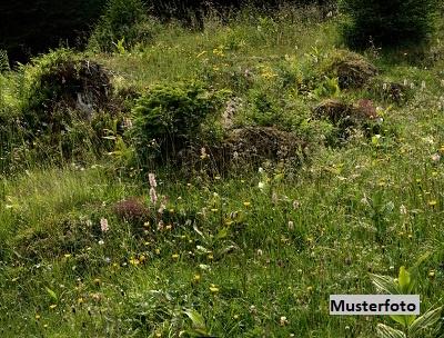 Keine Originalbilder