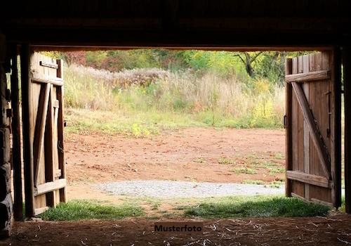 Keine Originalbilder