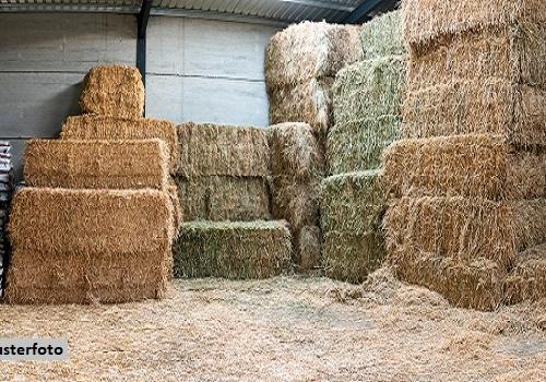 Keine Originalbilder