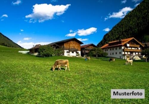 Keine Originalbilder