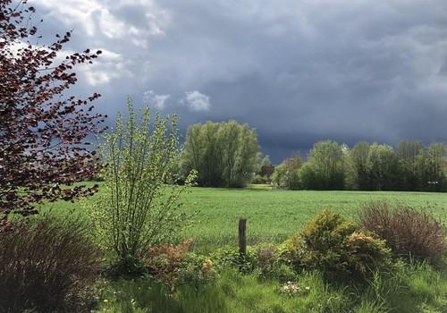 Wetter aus Sicht Wintergarten