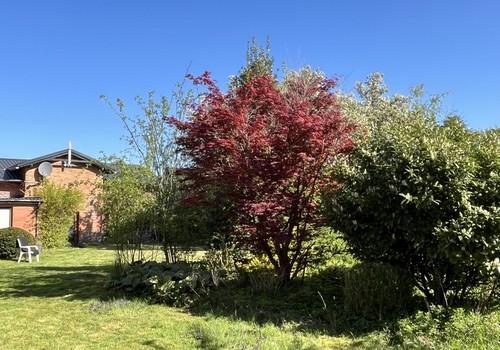 Hof aus Sicht des Gartens