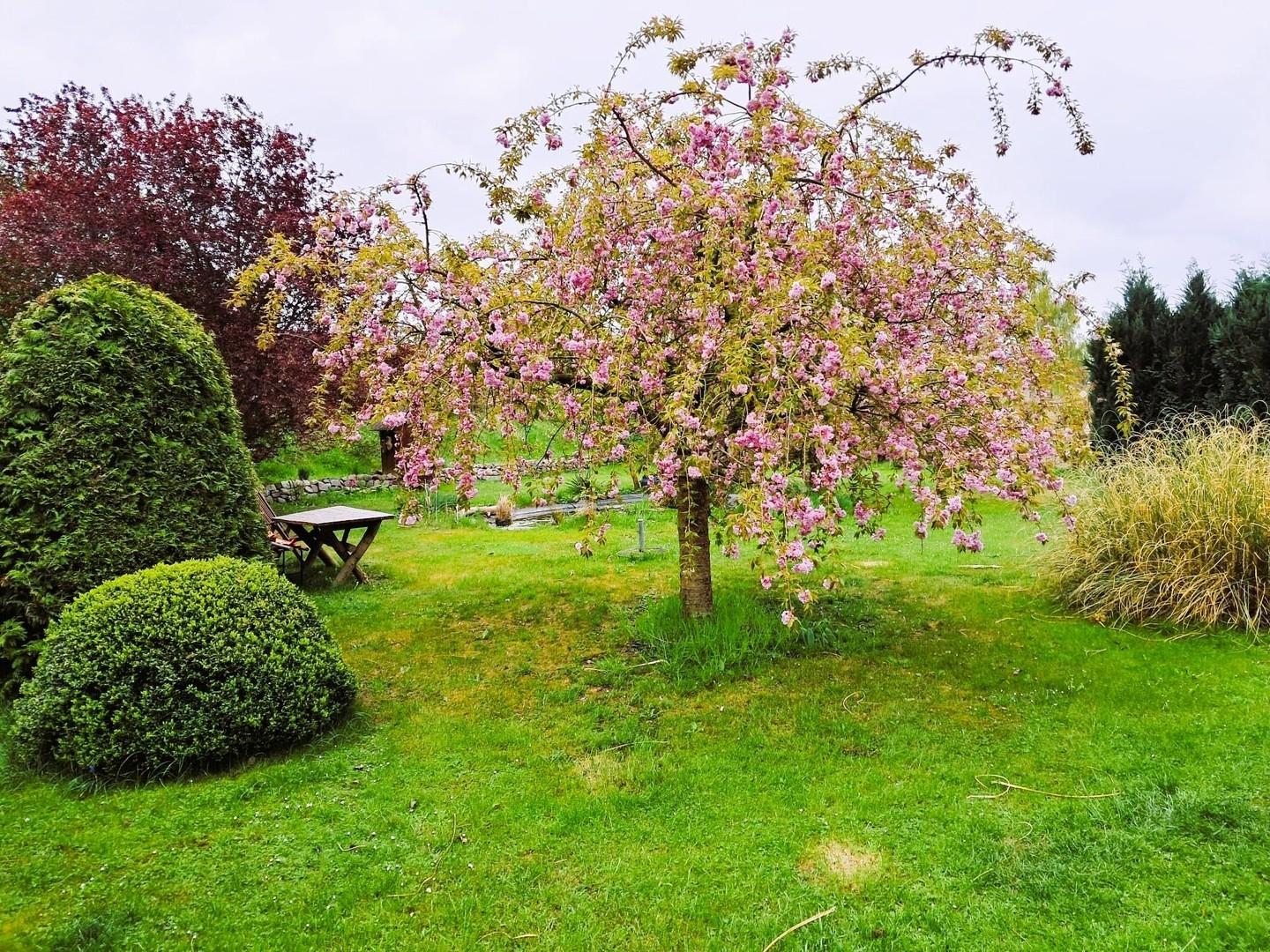 Auszug Gartenbereich