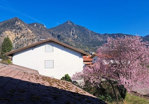 Blick nach Osten zu Hochgern