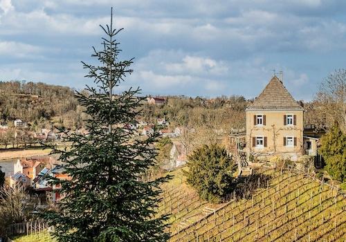 Blick aus dem Fenster