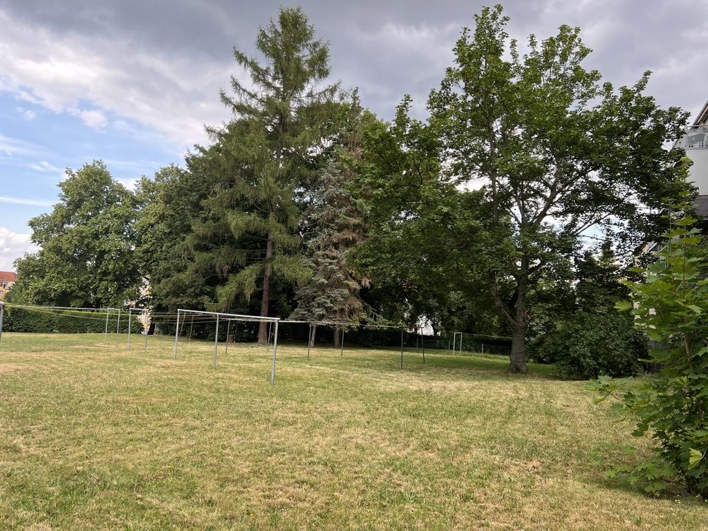 grüner großer Innenhof