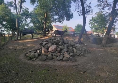 Ziegengehege
