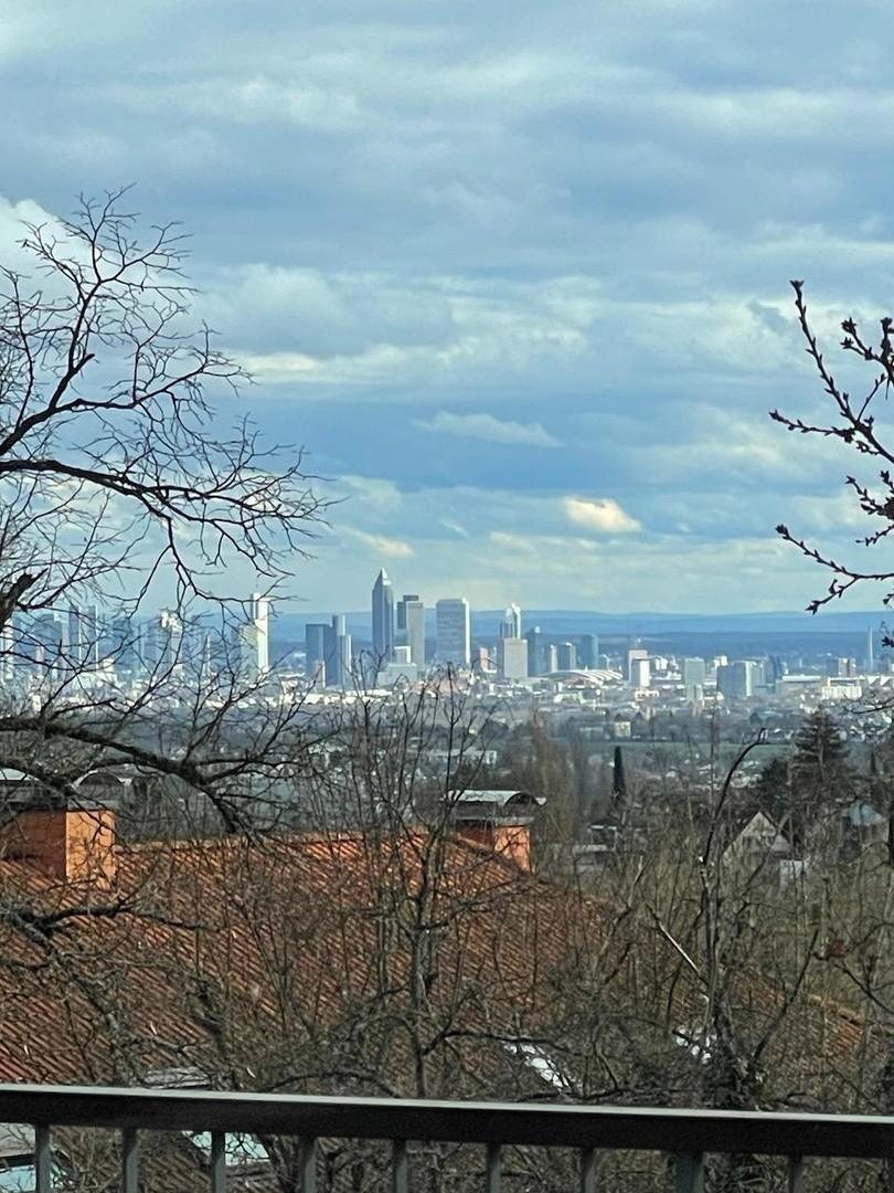 Skylineblick auf FFM