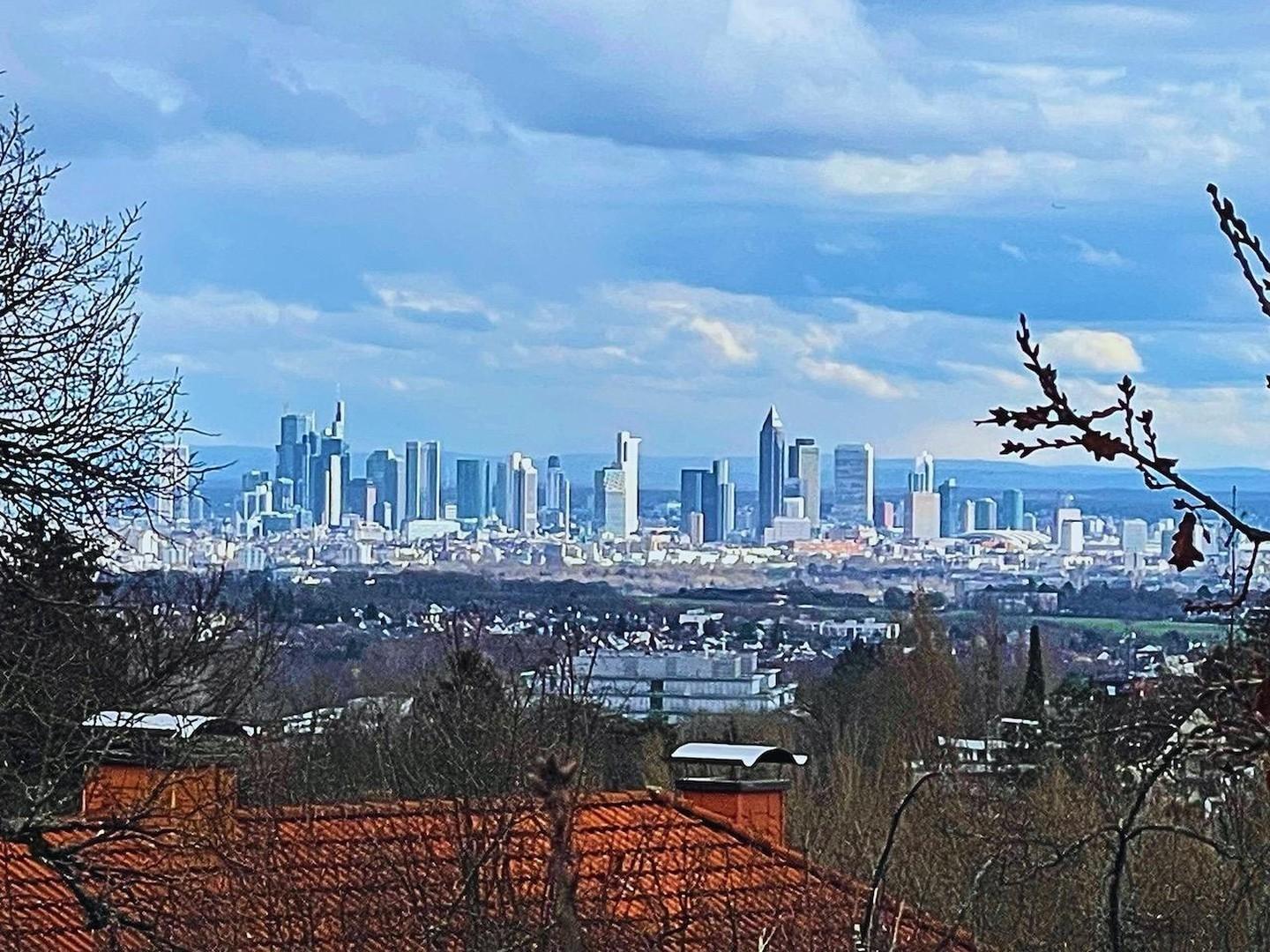 Skylineblick auf FFM