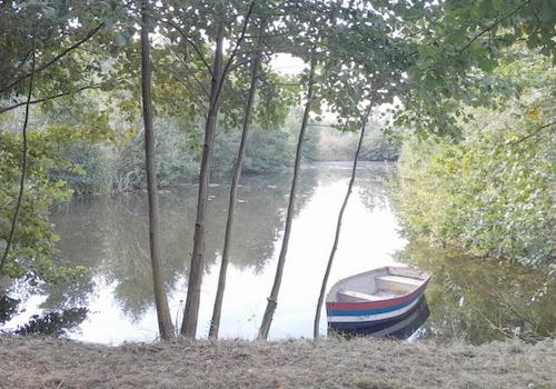 Zu pachtender eigener Teich mit Ruderboot