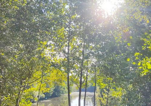 Teich nahe dem Wohnhaus