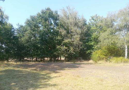 Gut gepflegte Außenanlagen