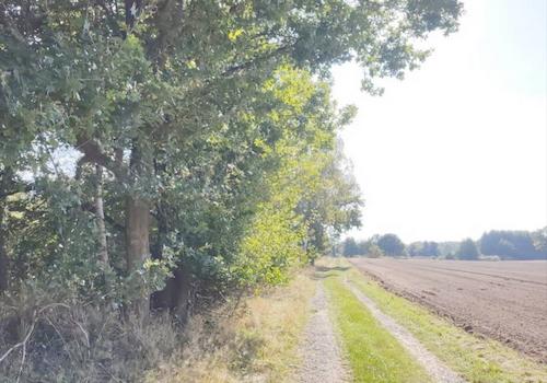 Natur pur - Wiesen und Felder direkt vor Ihrer Haustür