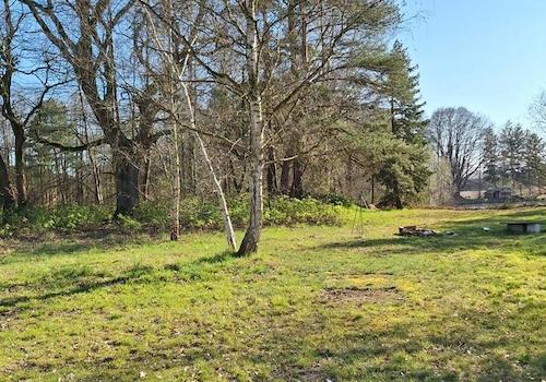 Parkähnlicher Garten #1