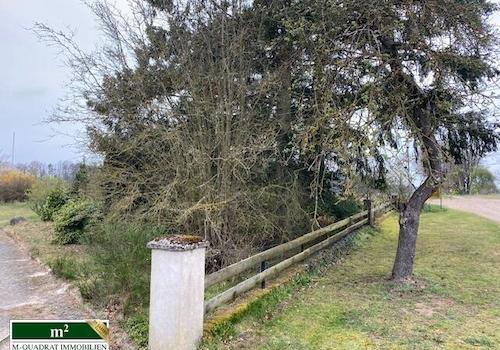 Baugrundstück straßenseitig mit Einfriedung