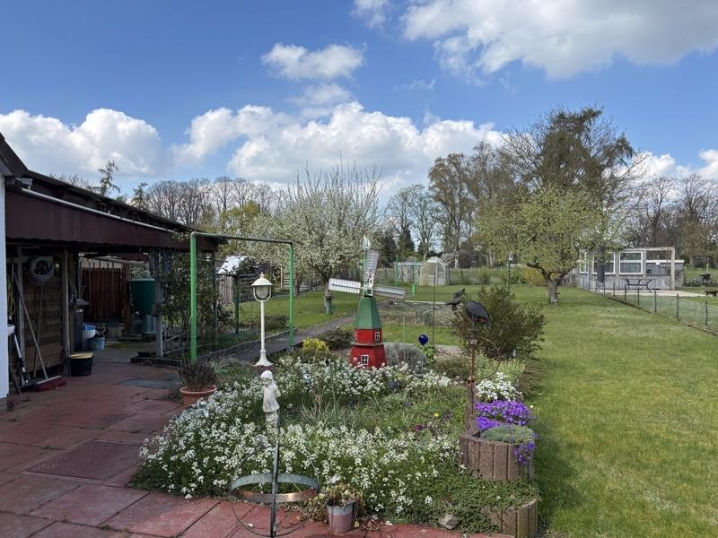 Blick in den Garten