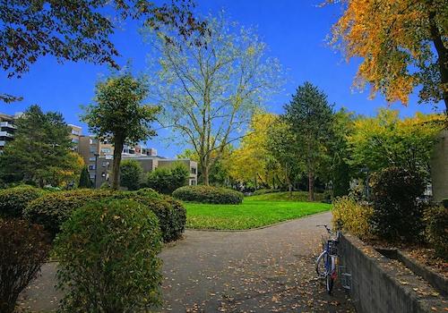 Blick Haustür in Anlage