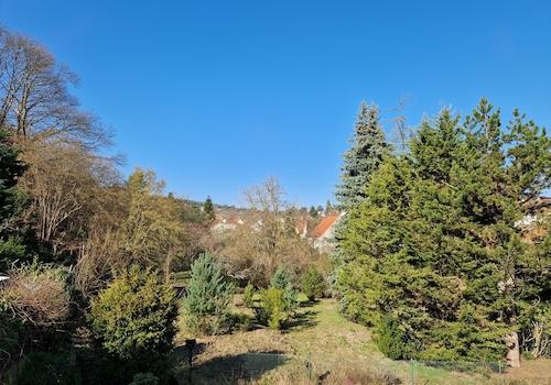 Blick aus dem WZ/Balko