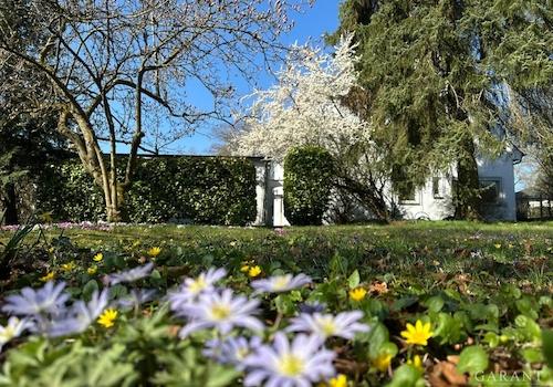 1-Fruehlingserwachen