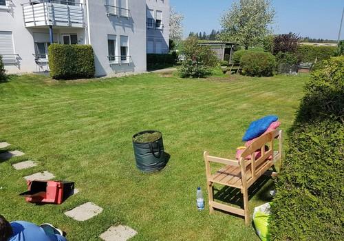 Garten im Sommer