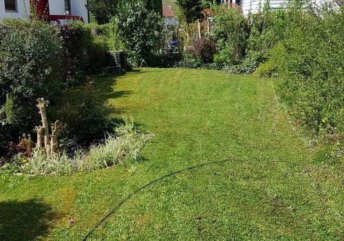 Garten - untere Ebene