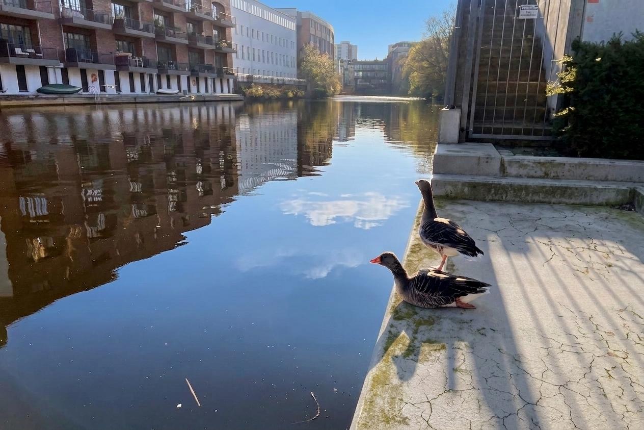 "Um´s Eck" an der Geibelstraße